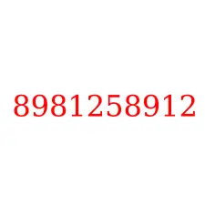 8981258912