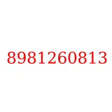 8981260813