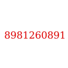 8981260891