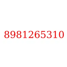 8981265310