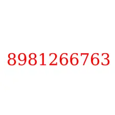 8981266763