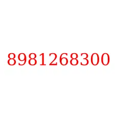 8981268300