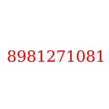 8981271081