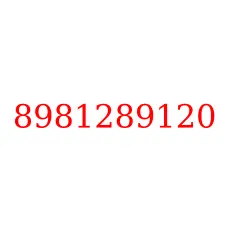 8981289120
