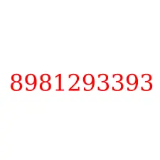 8981293393