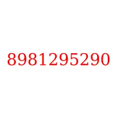 8981295290