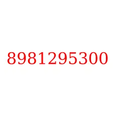 8981295300