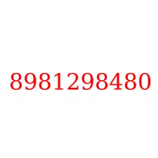 8981298480