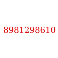 8981298610