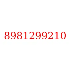 8981299210