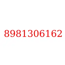 8981306162