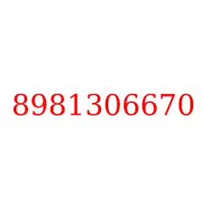 8981306670