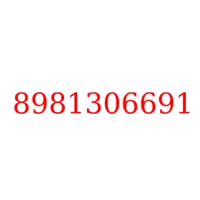 8981306691