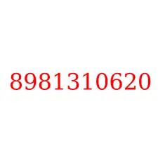 8981310620
