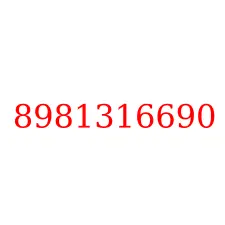 8981316690