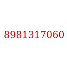 8981317060