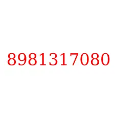 8981317080
