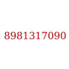8981317090