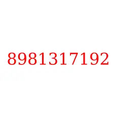 8981317192