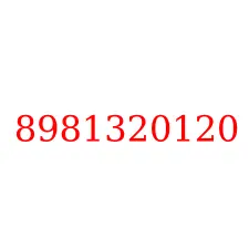 8981320120