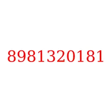 8981320181