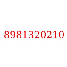 8981320210