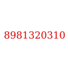 8981320310