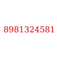 8981324581