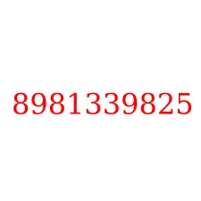 8981339825