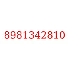 8981342810