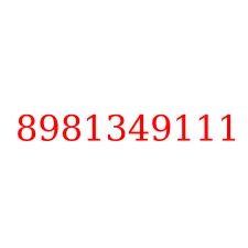 8981349111