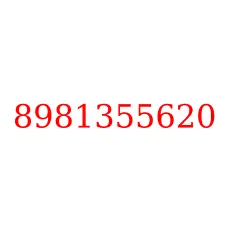 8981355620