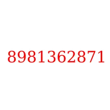 8981362871