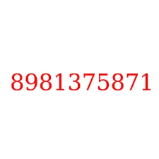 8981375871