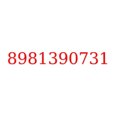 8981390731