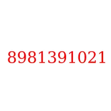 8981391021