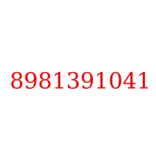 8981391041