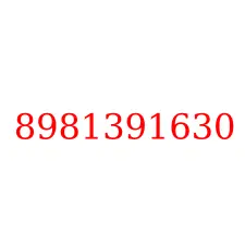 8981391630