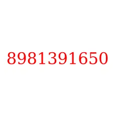 8981391650