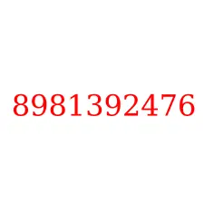 8981392476