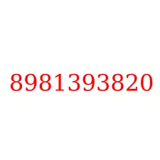 8981393820