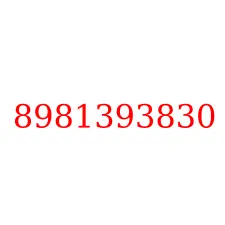 8981393830