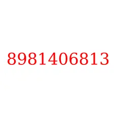 8981406813