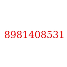 8981408531