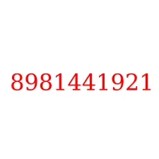 8981441921