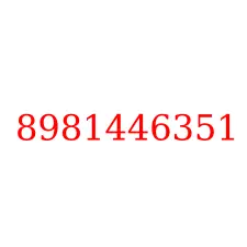 8981446351