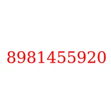 8981455920