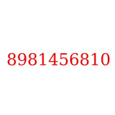 8981456810