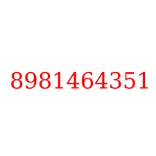 8981464351
