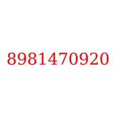 8981470920